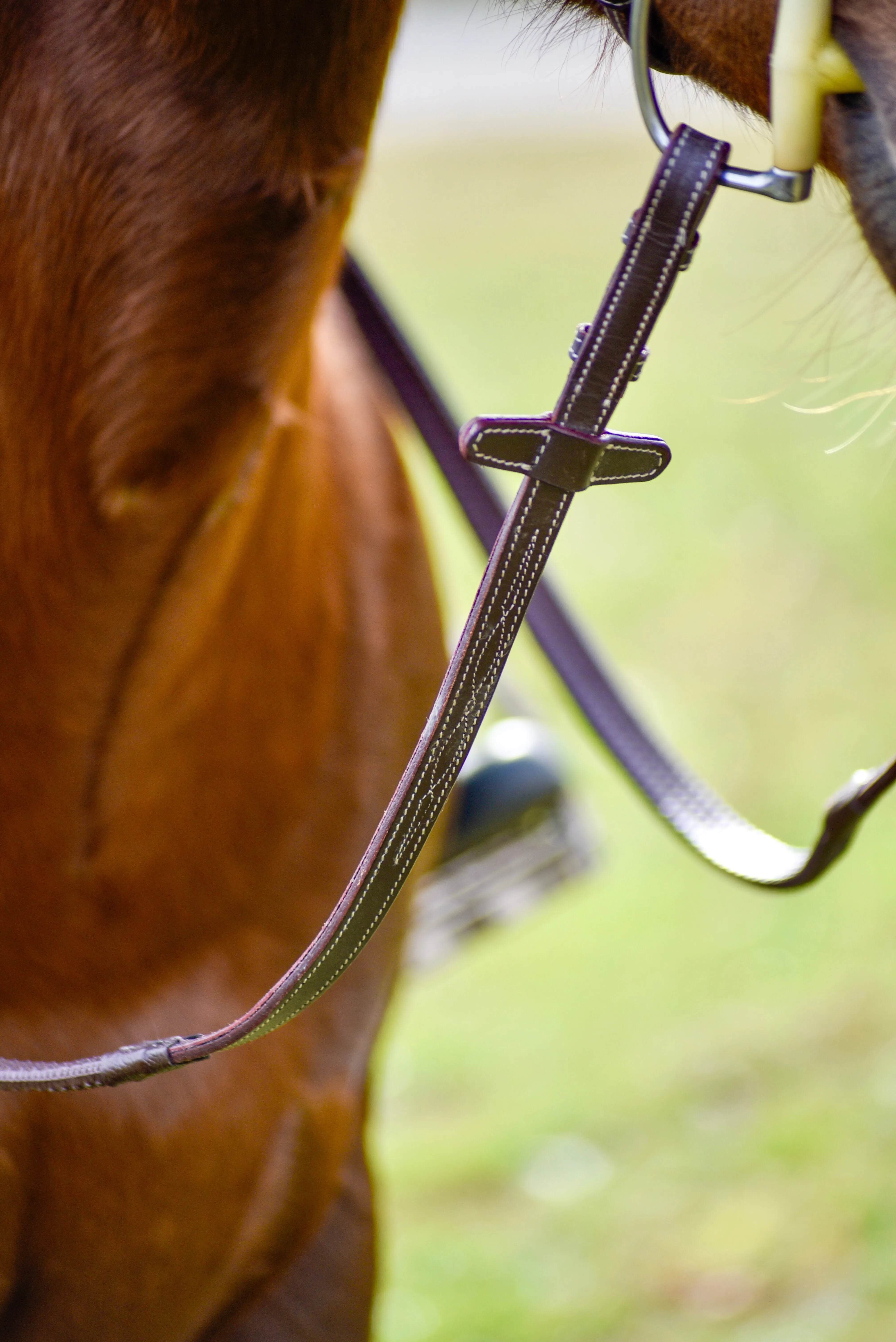 Auven Equestrian The Rowan Hunter Bridle