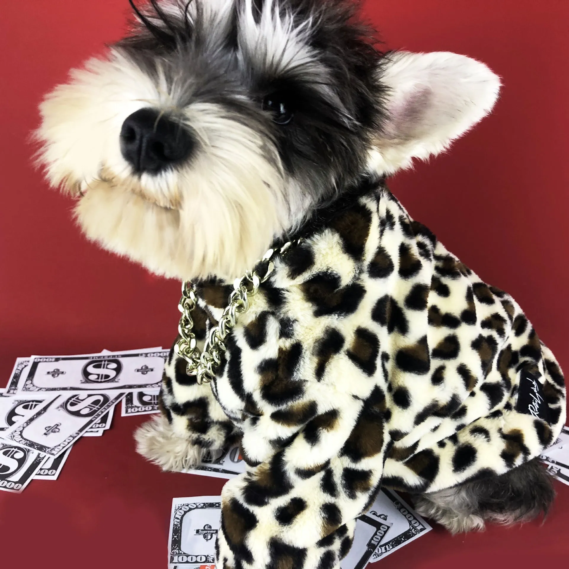 Dog clothes spring and autumn clothes leopard coat thickened