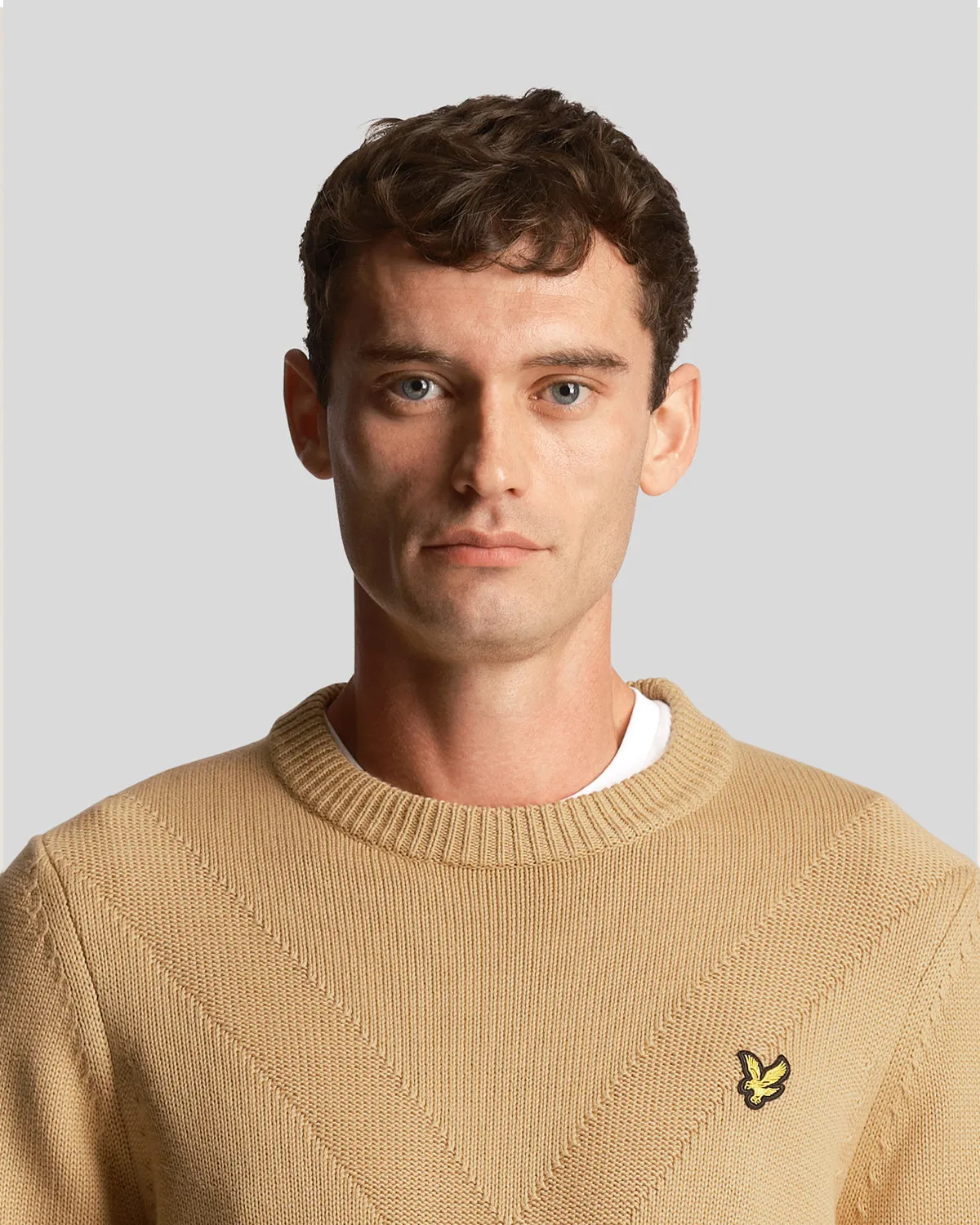 Insignia Crew Neck Jumper