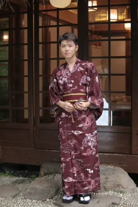 Japanese Kimono Costwear