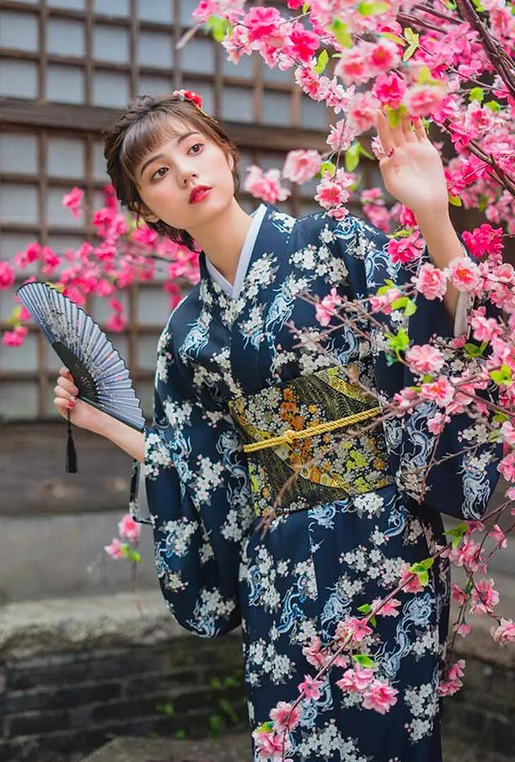 Japanese Kimono Style Dress