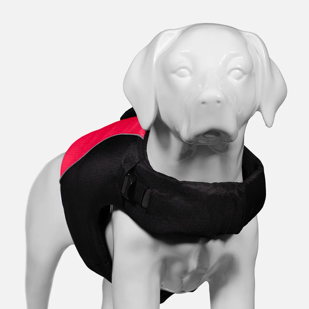 K9 Adventure™ Dog Life Jacket