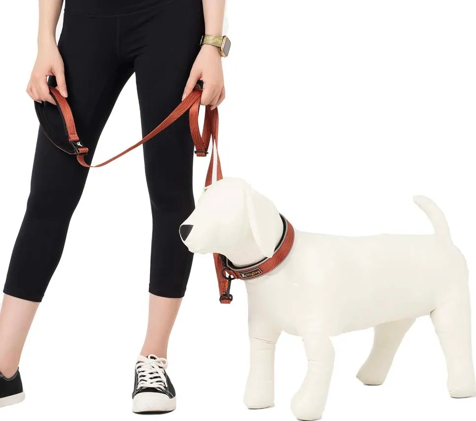 OllyDog Flagstaff Adjustable Leash  Clay | Buy OllyDog Flagstaff Adjustable Leash  Clay here | Outnorth